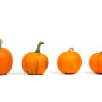 英語で秋のかぼちゃ手遊び歌｜歌詞と動画【Five Little Pumpkins | Pumpkin Song】