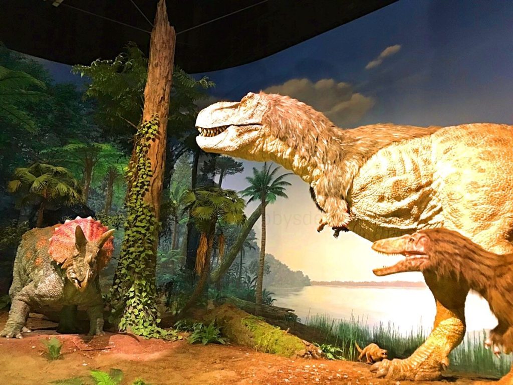 恐竜に会える博物館 ミュージアムパーク茨城県自然博物館 関東のお出かけ Mama Tuuli