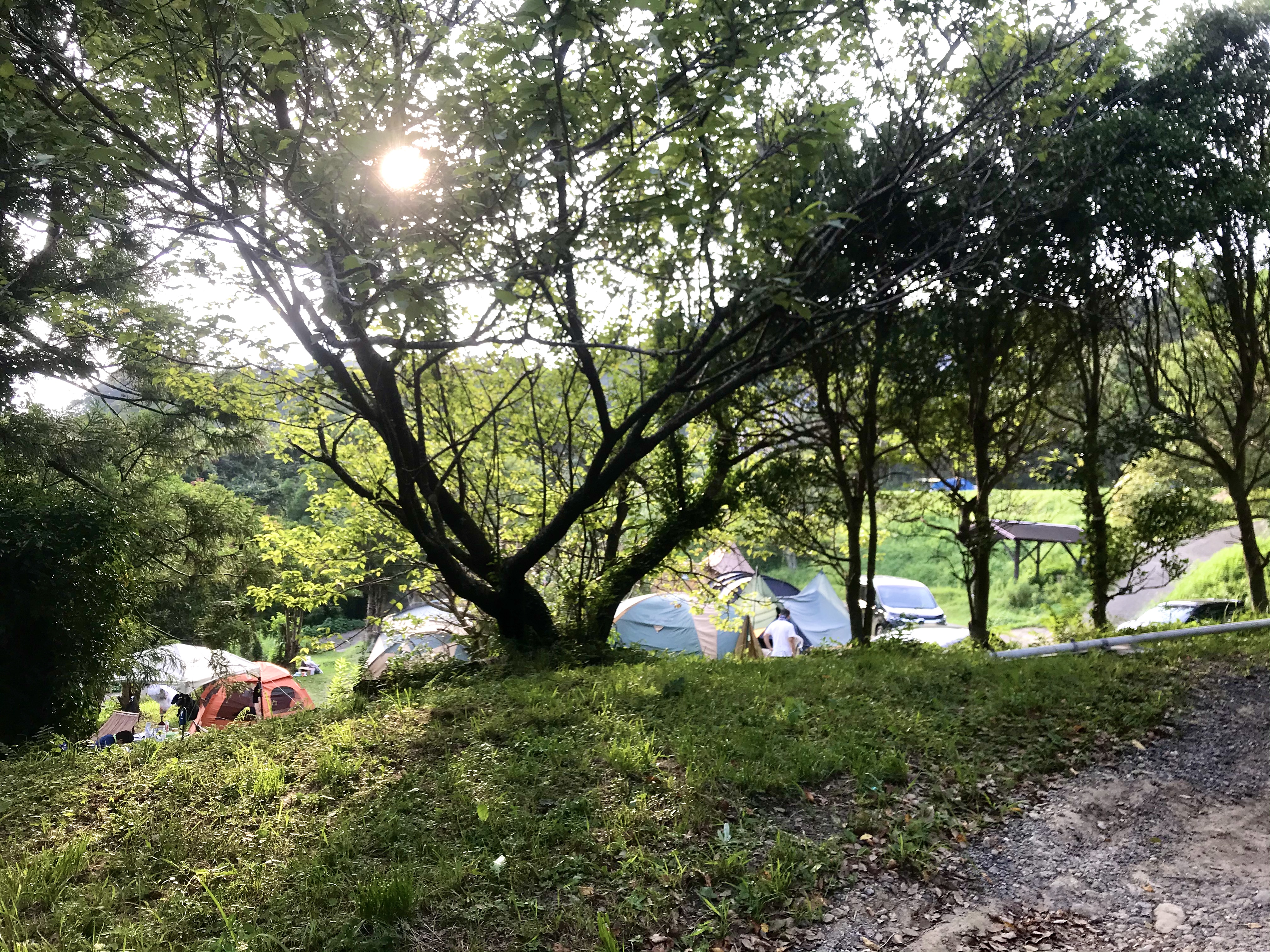 キャンピングヒルズ鴨川 千葉 はこんなところでした 美しい棚田の景色とキャンプ場 ファミリーキャンプ情報 アウトドア Mama Tuuli